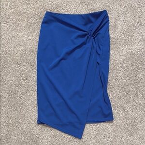 Elegant Blue Women's Skirt